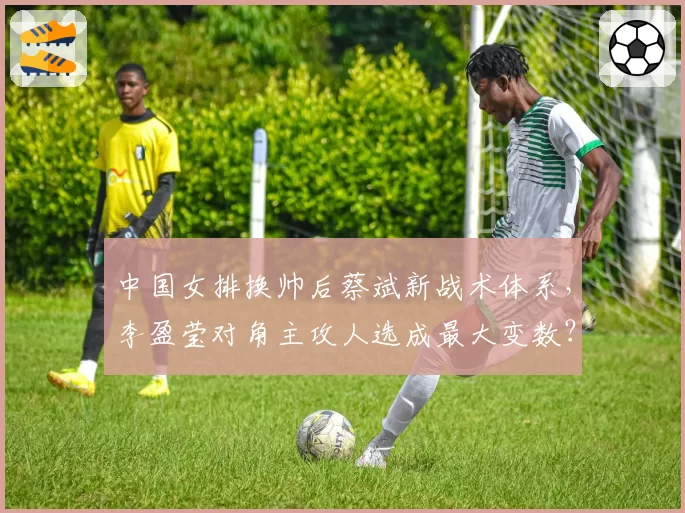中国女排换帅后蔡斌新战术体系，李盈莹对角主攻人选成最大变数？