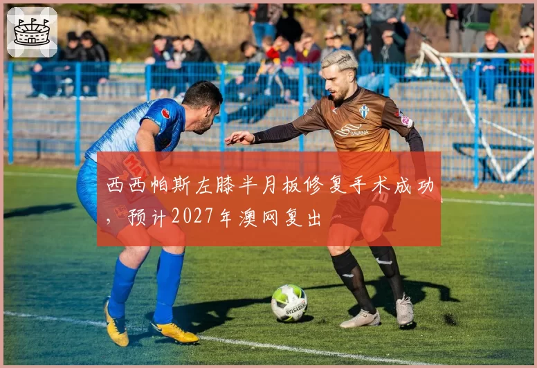 西西帕斯左膝半月板修复手术成功，预计2027年澳网复出